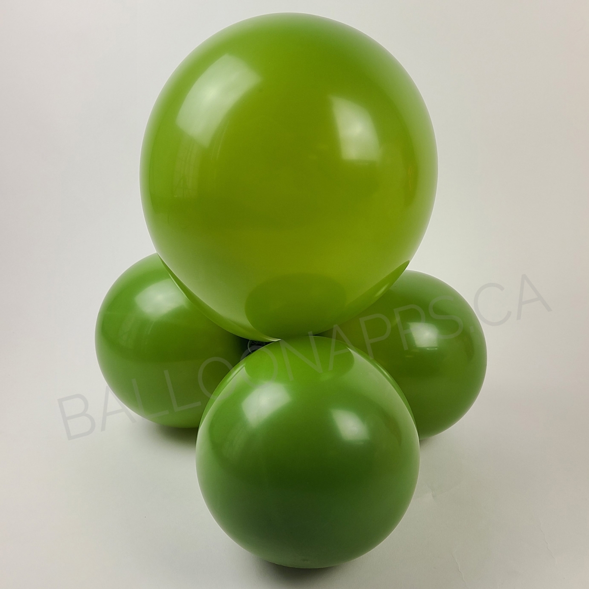 ECONO (50) 11" Olive balloons