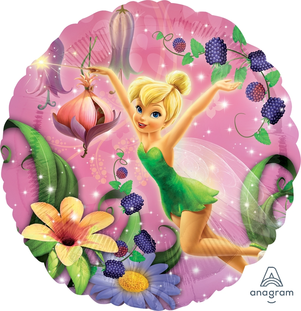 Fairy balloons and party supplies for girls birthday party